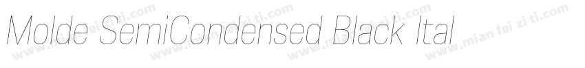 Molde SemiCondensed Black Italic字体转换